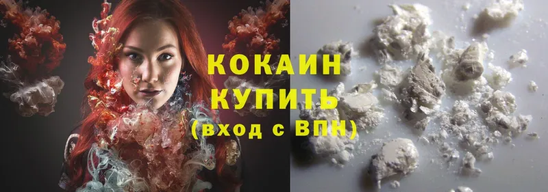 Кокаин FishScale  где купить наркоту  Артёмовский 